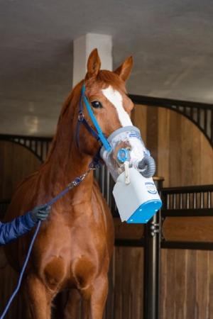 Akku-Ultraschall-Inhalator für Pferde AirOne Flex inkl. Warmblutmaske