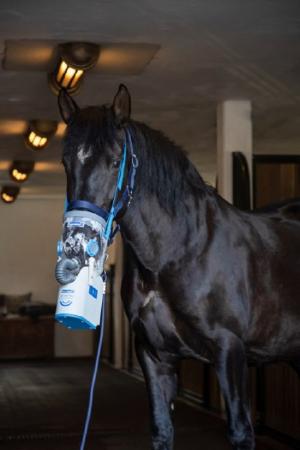 Akku-Ultraschall-Inhalator für Pferde AirOne Flex inkl. Warmblutmaske