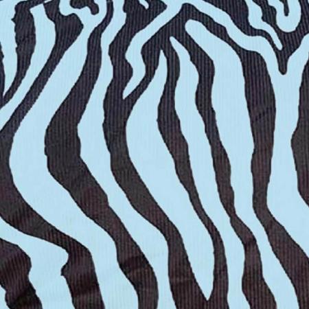 Zebra-Fliegendecke mit Halsteil