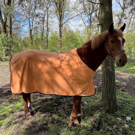 Abschwitzdecke-orange