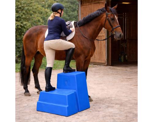 Aufstiegshilfe "2 Steps"