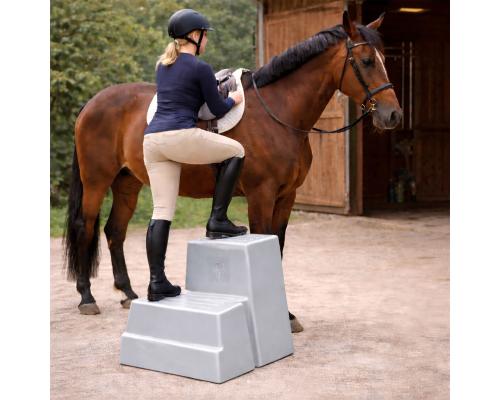 Aufstiegshilfe "2 Steps"