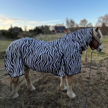 Zebra Fliegendecke mit Halsteil und Bauchlatz
