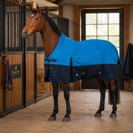 Winterdecke Florie 1200D HN 100gr Petrol/Navy
