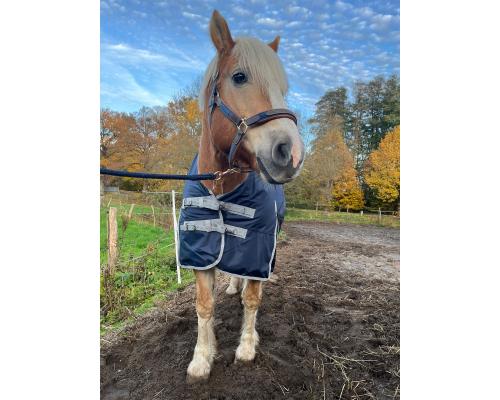 Winterdecke Nell - 1680D - 50g