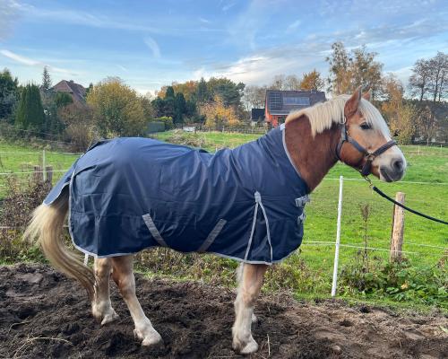 Winterdecke Nell - 1680D - 50g