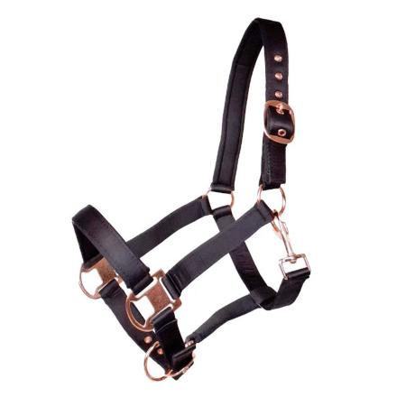 Halfter „Glossy“