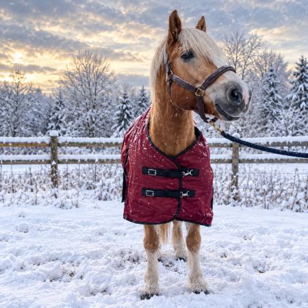Winterdecke Red Winter - 1680D - 200g
