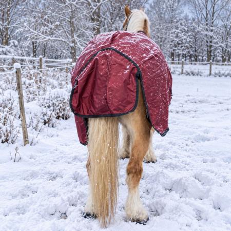 Winterdecke Red Winter - 1680D - 200g
