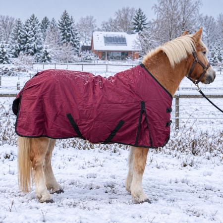 Winterdecke Red Winter - 1680D - 200g