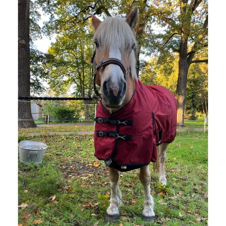 Weidedecke Zara