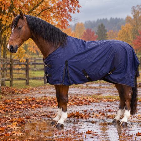 Regendecke Rain