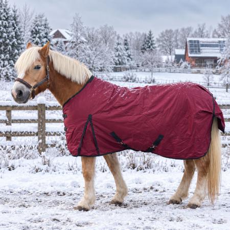 Winterdecke Red Winter - 1680D - 200g