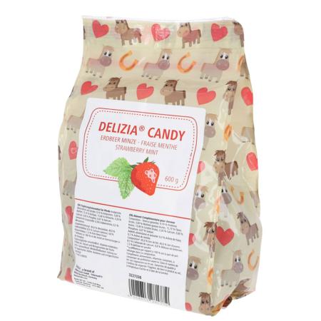 Pferde Leckstein Set