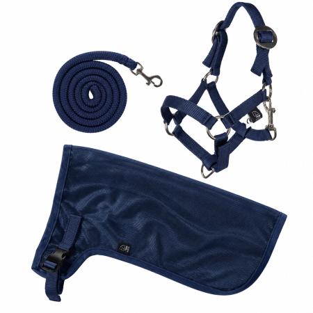 Hobby Horse Set - Summer - Halfter, Strick und Fliegendecke