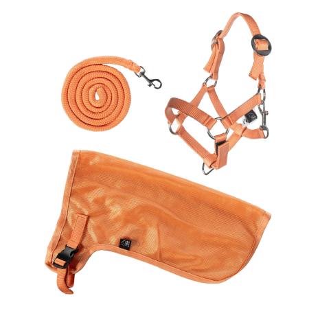 Hobby Horse Set - Summer - Halfter, Strick und Fliegendecke