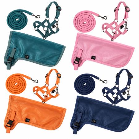 Hobby Horse Set - Summer - Halfter, Strick und Fliegendecke