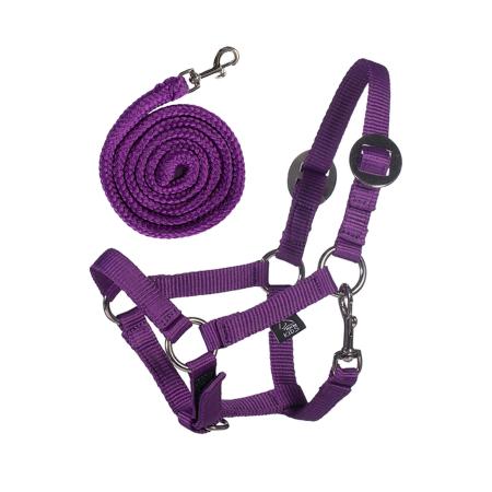 HKM Hobby Horse Set - Lila - Fliegenhaube, gesteppte Decke & Halfter mit Führstrick