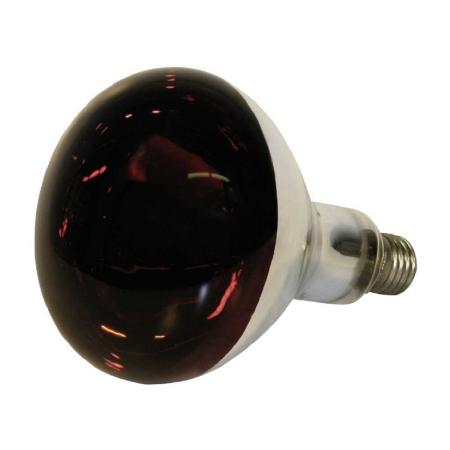 Infrarot-Wärmestrahlgerät + Hartglas Infrarotlampe
