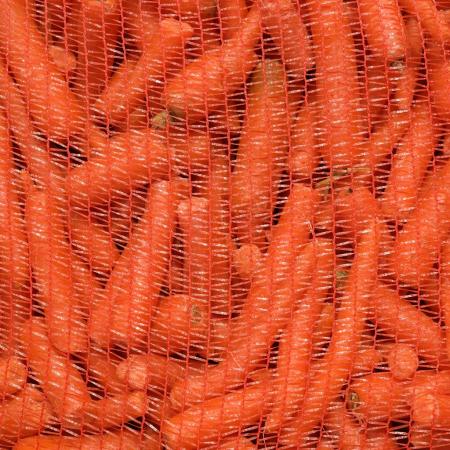 Frische Futtermöhren 20 kg