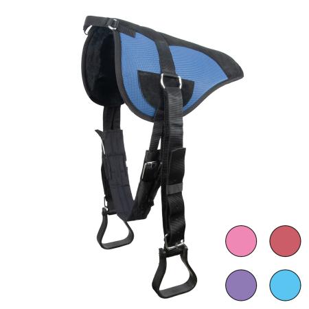 Reitpad Colour