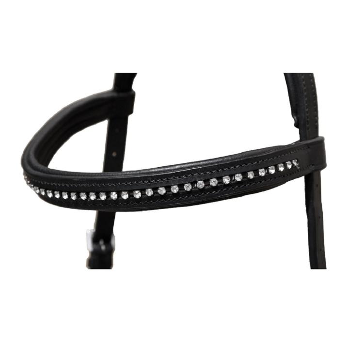 Trensenzaum Anatomic