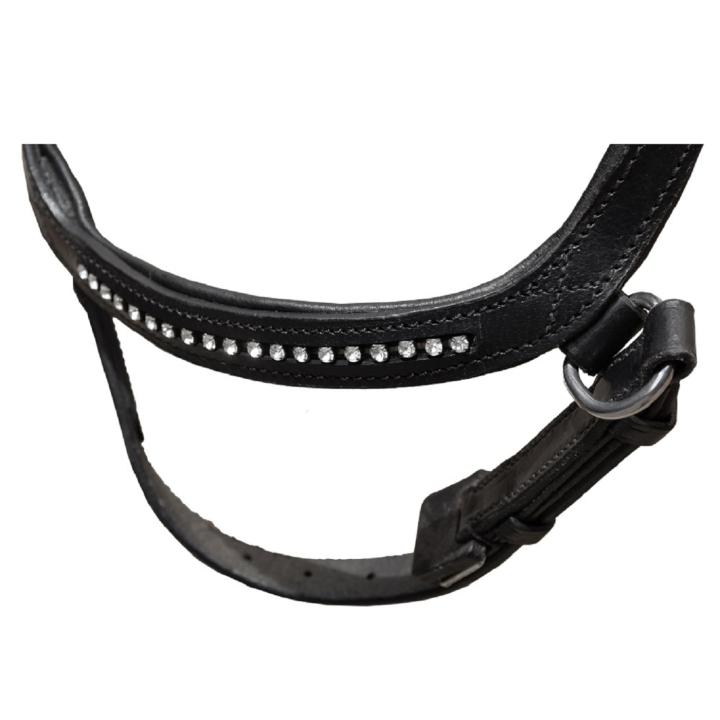 Trensenzaum Anatomic
