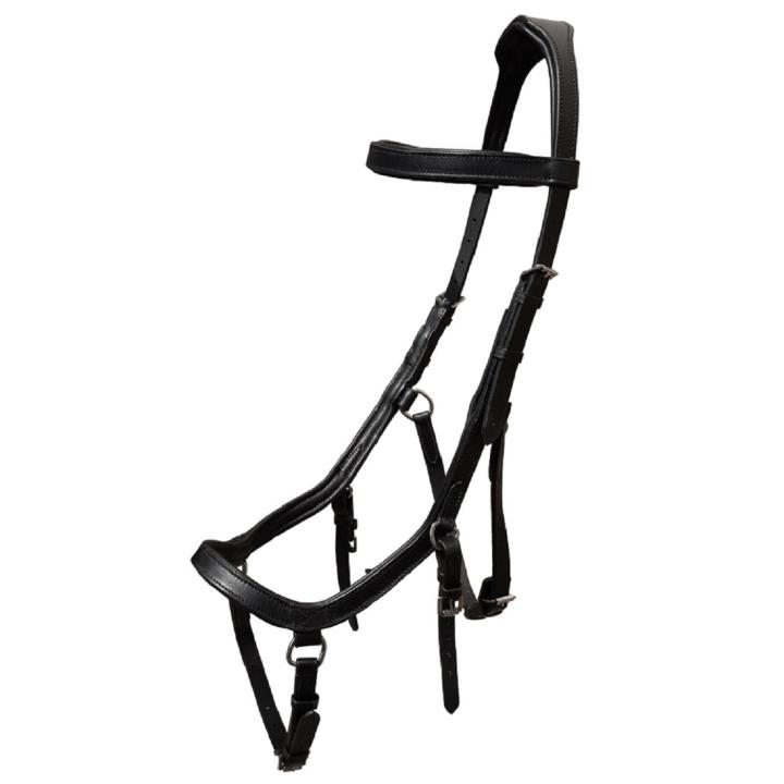 Trensenzaum Anatomic