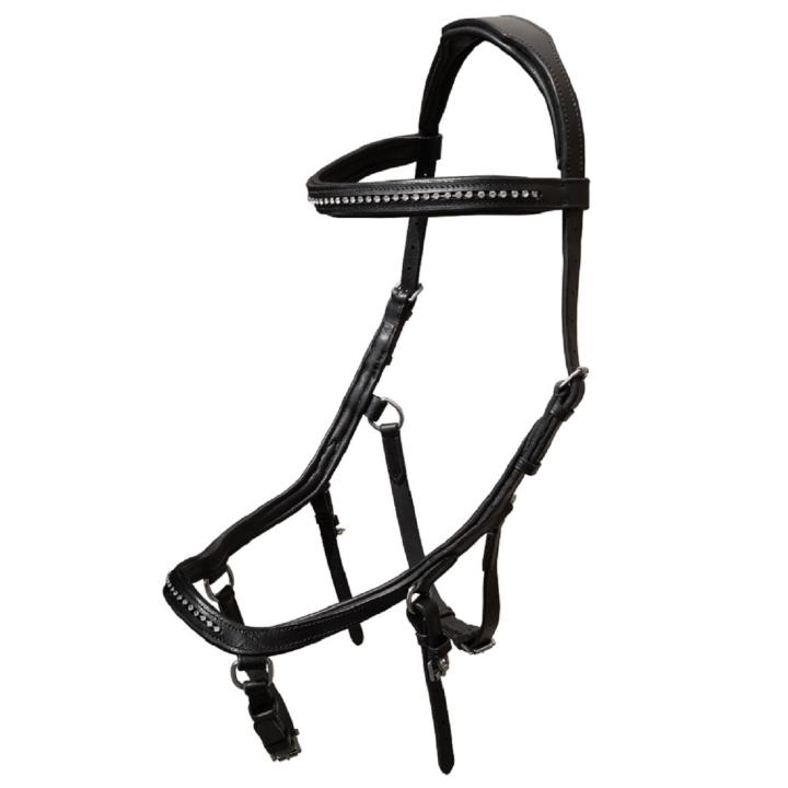 Trensenzaum Anatomic