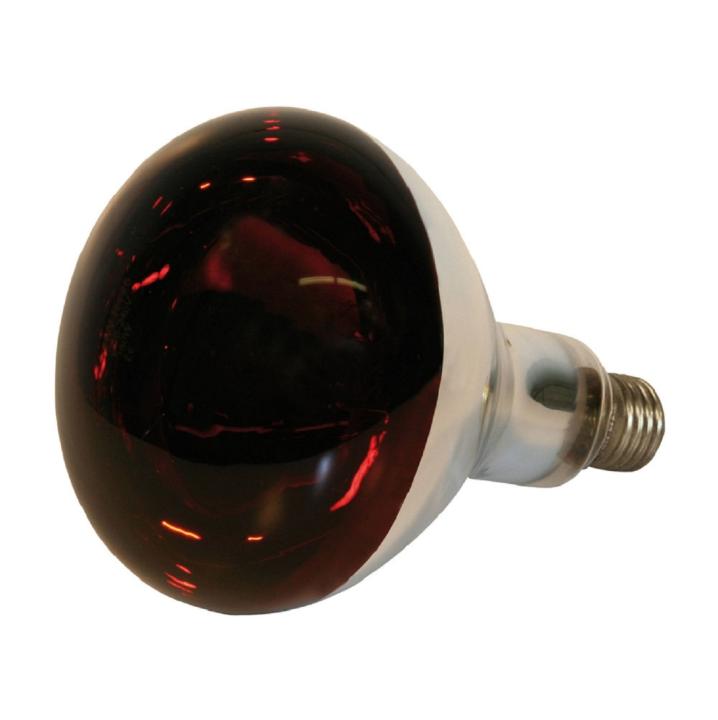 Infrarotlampe dunkelrot mit silberfarbenem Schaft und Fassung aus Metall