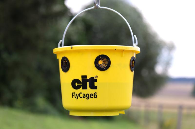 cit Fliegenfalle FlyCage