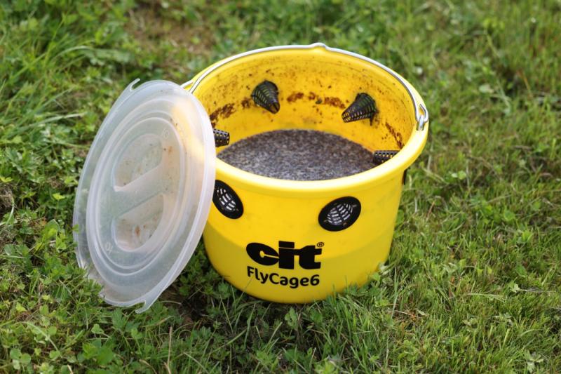 cit Fliegenfalle FlyCage