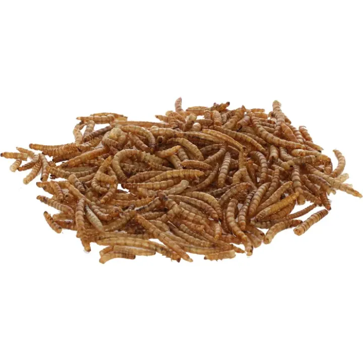 Mehlwürmer getrocknet 900 g