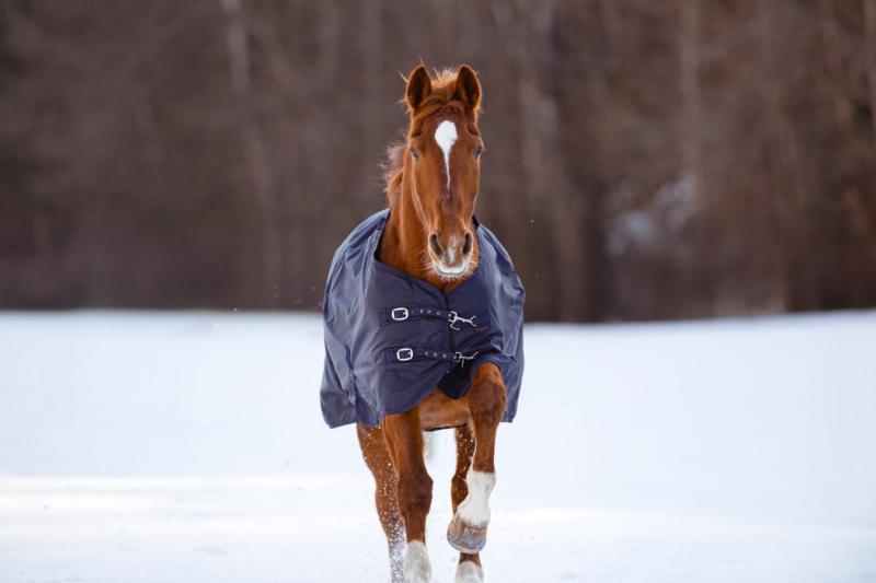 Winterdecke RugBe IceProtect 100