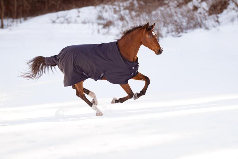 Winterdecke RugBe IceProtect 100