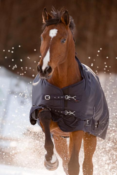 Winterdecke RugBe IceProtect 100