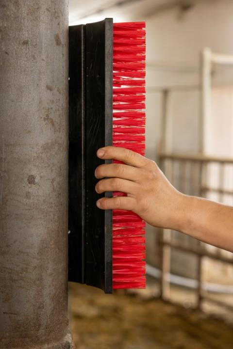 Kratzbürste Montagebeispiel 2