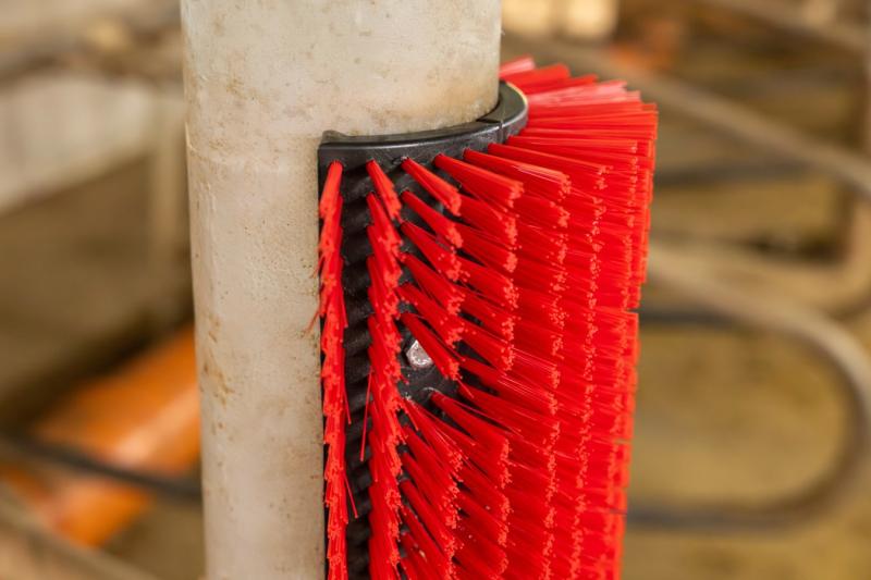 Kratzbürste Montagebeispiel Detail