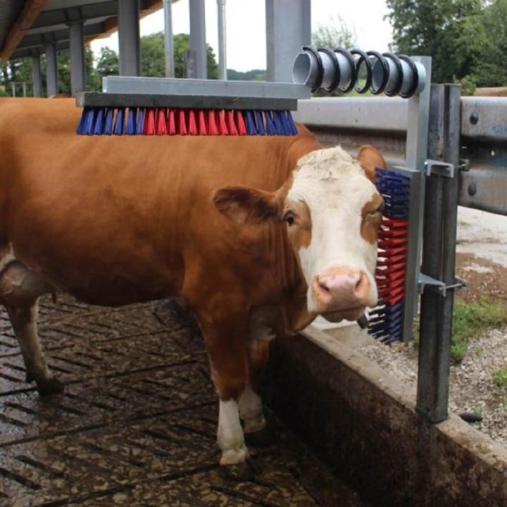 Viehbürste Euro-Farm