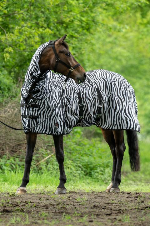 Fliegendecke mit Halsteil Zebra mit Bauchlatz