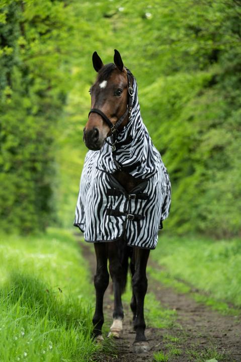 Fliegendecke mit Halsteil Zebra mit Bauchlatz