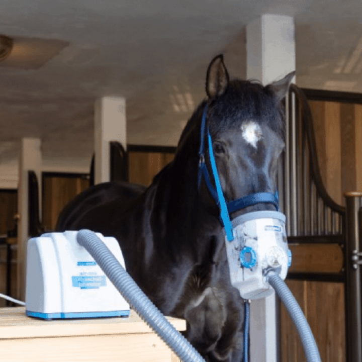 Ultraschall-Inhalator für Pferde Air-One