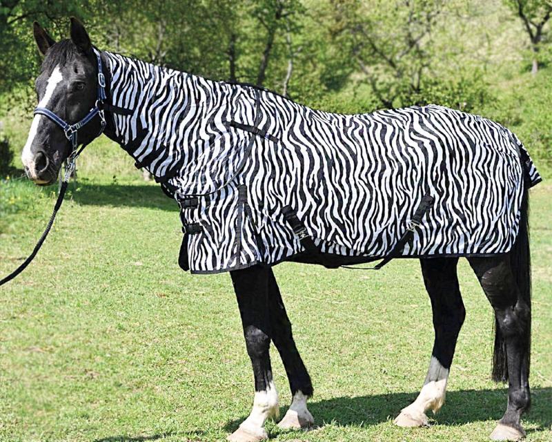 Zebrafliegendecke Comfort