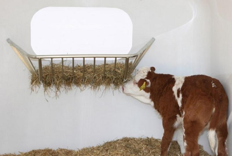 Heuraufe CalfHouse