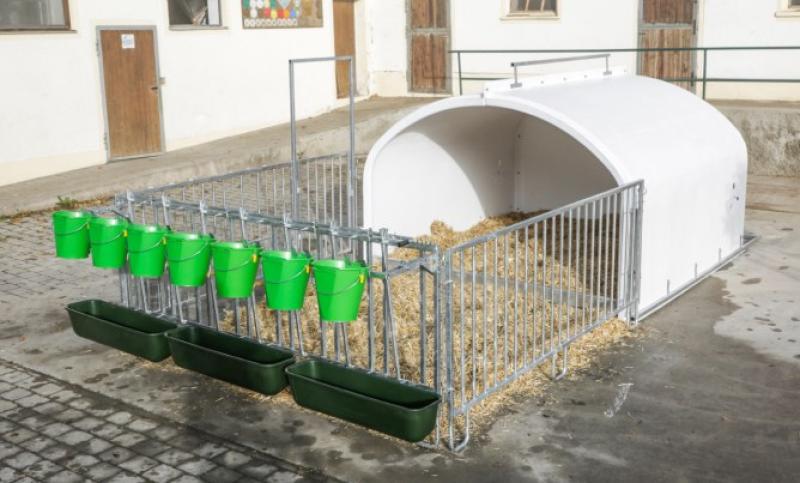 CalfHouse Premium XXL mit Umzäunung
