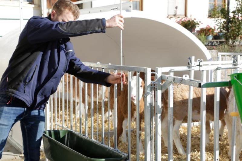CalfHouse Premium XXL mit Umzäunung