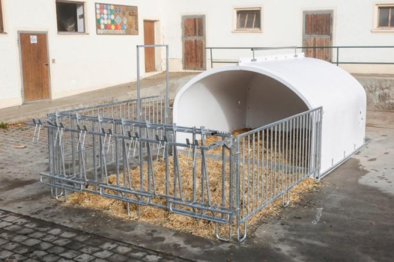 CalfHouse Premium XXL mit Umzäunung