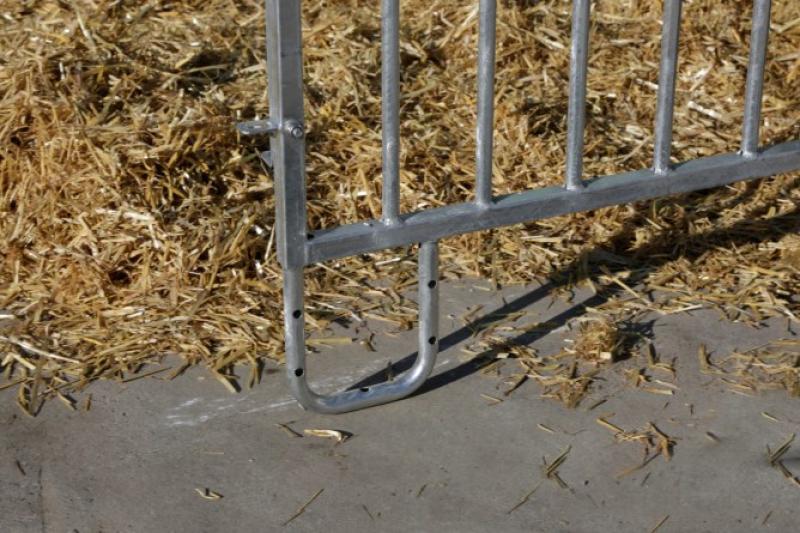 CalfHouse Premium XXL mit Umzäunung