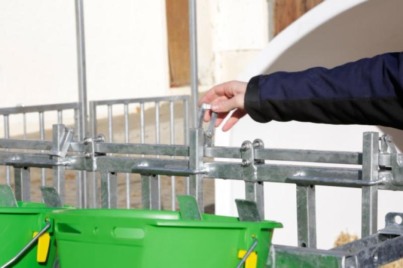CalfHouse Premium XXL mit Umzäunung
