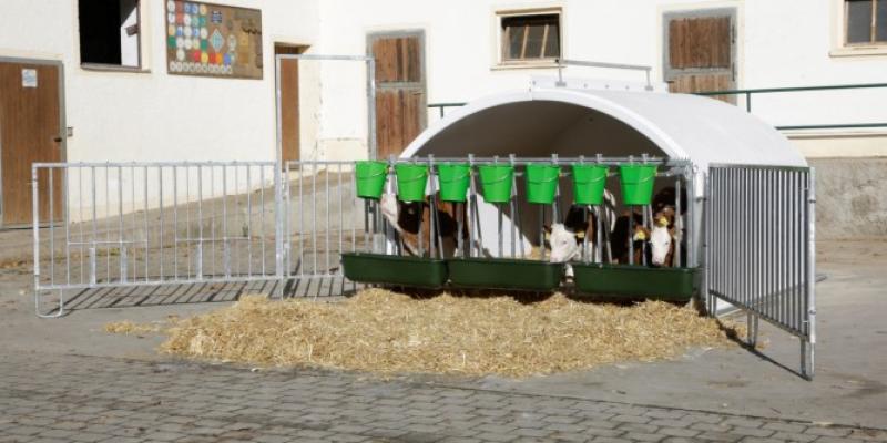 CalfHouse Premium XXL mit Umzäunung